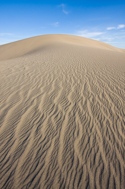 Patterns In Sand Dune